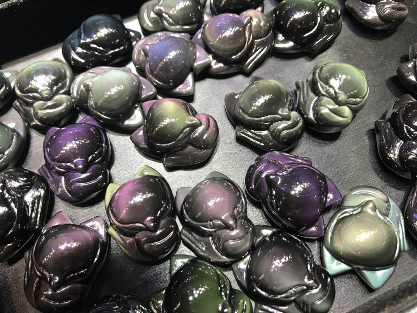 强光照射下的黑曜石狐狸